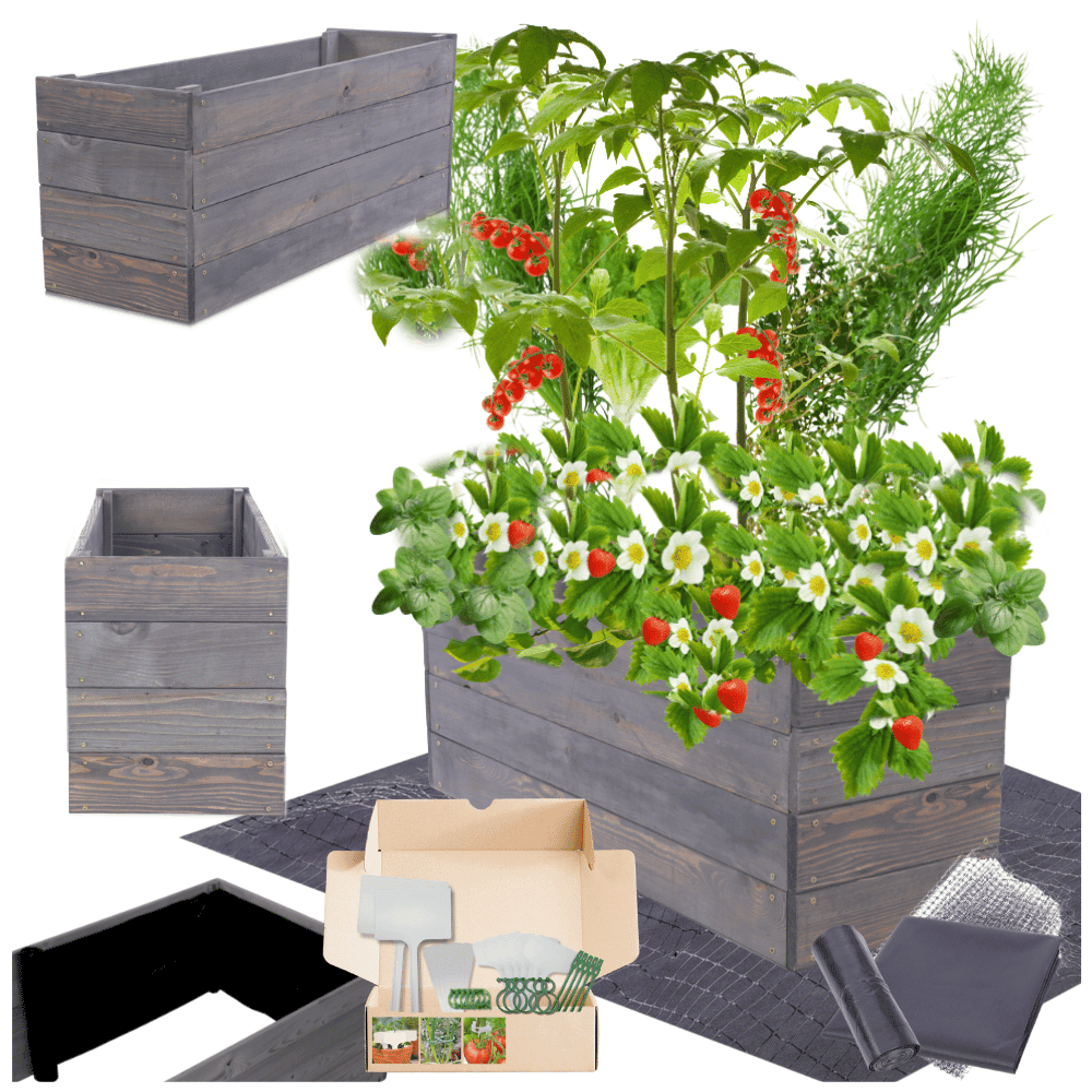 Strat inaltat de gradina - LOTUS H36 - lemn de pin - Rael Garden