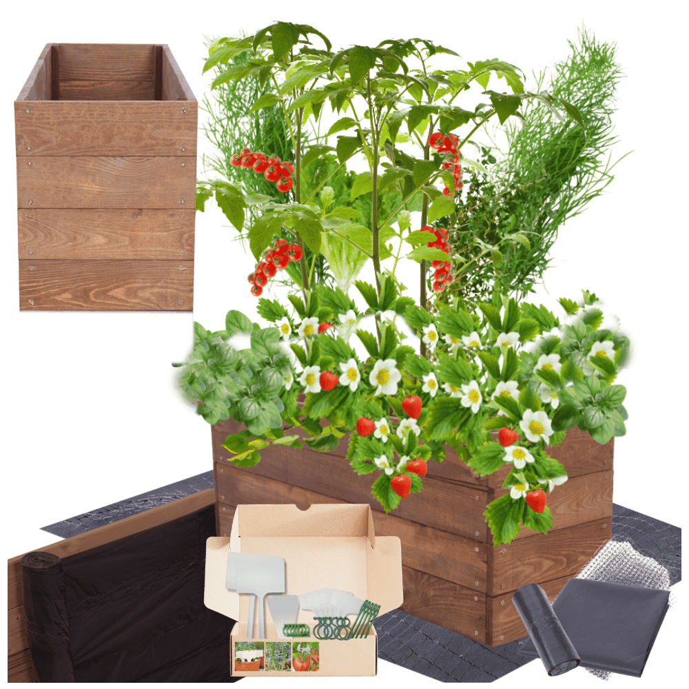 Strat inaltat de gradina - LOTUS H36 - lemn de pin - Rael Garden