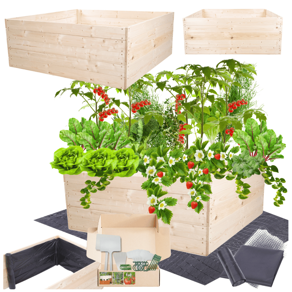 Strat inaltat de gradina - LOTUS H45 - lemn de pin - Rael Garden