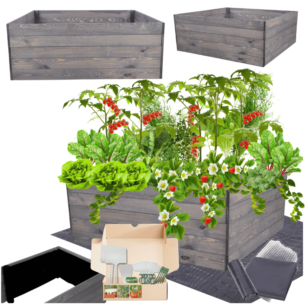 Strat inaltat de gradina - LOTUS H45 - lemn de pin - Rael Garden