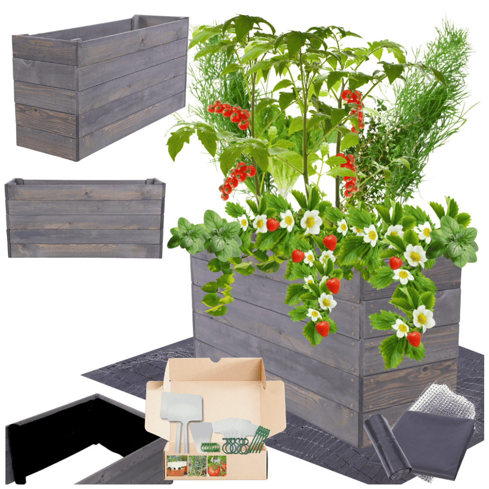 Strat inaltat de gradina - LOTUS H45 - lemn de pin - Rael Garden