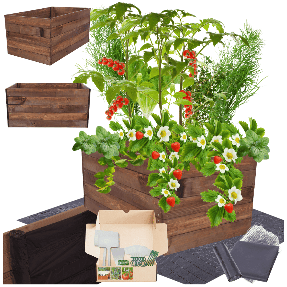 Strat inaltat de gradina - LOTUS H45 - lemn de pin - Rael Garden