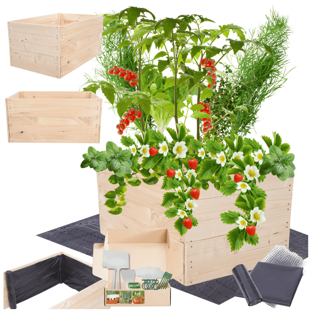 Strat inaltat de gradina - LOTUS H45 - lemn de pin - Rael Garden