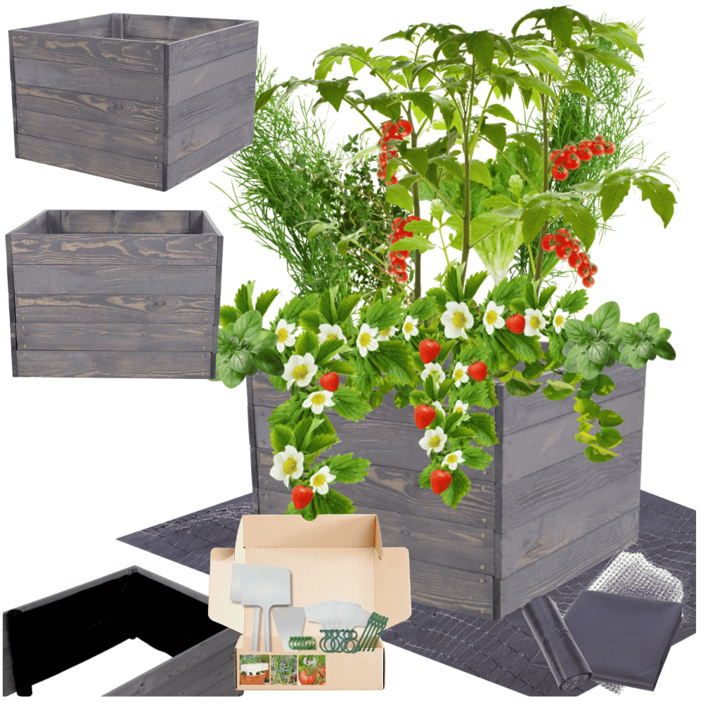 Strat inaltat de gradina - LOTUS H45 - lemn de pin - Rael Garden