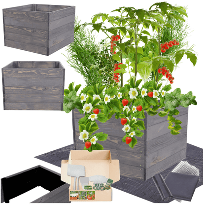 Strat inaltat de gradina - LOTUS H45 - lemn de pin - Rael Garden