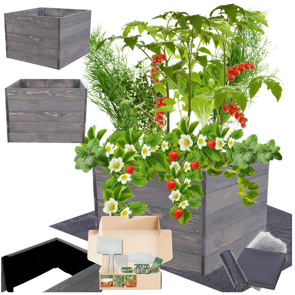 Strat inaltat de gradina - LOTUS H45 - lemn de pin - Rael Garden