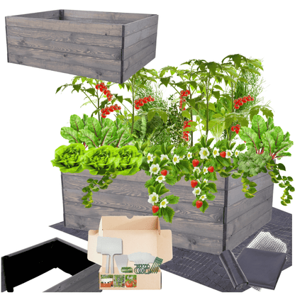 Strat inaltat de gradina - LOTUS H45 - lemn de pin - Rael Garden