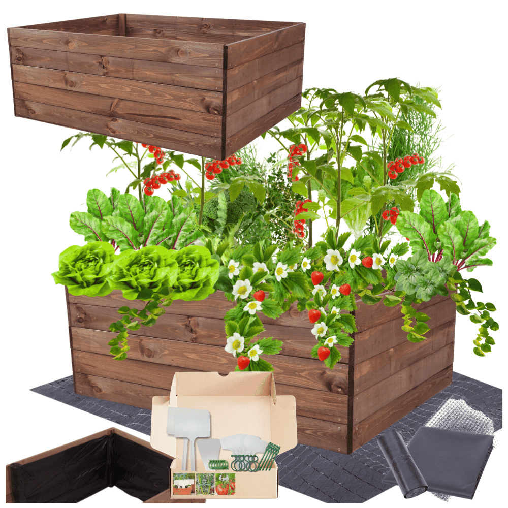 Strat inaltat de gradina - LOTUS H45 - lemn de pin - Rael Garden