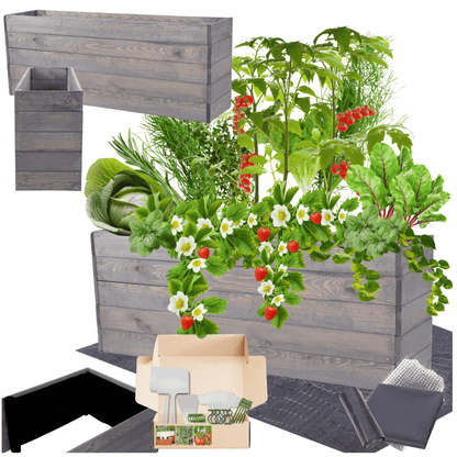 Strat inaltat de gradina - LOTUS H45 - lemn de pin - Rael Garden