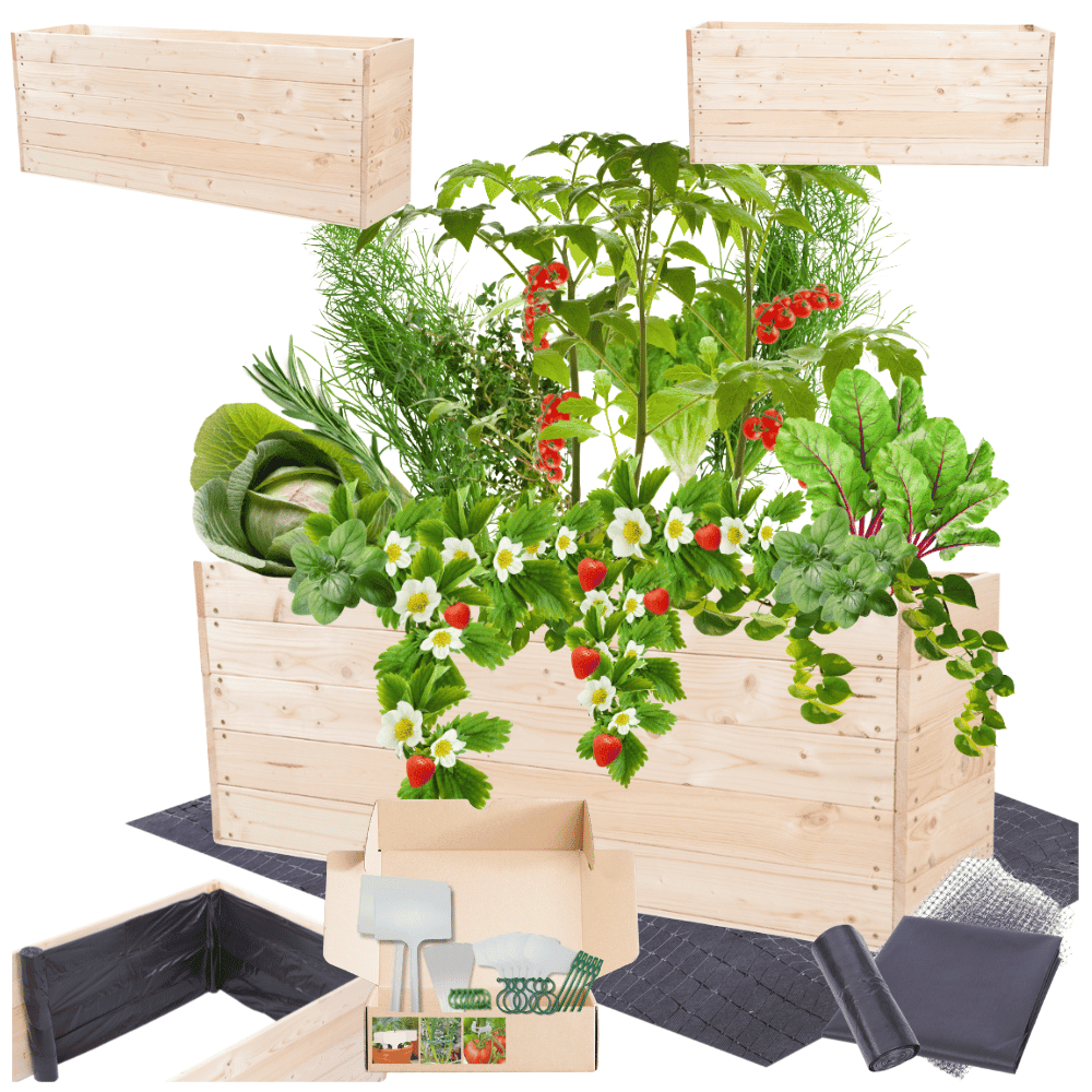 Strat inaltat de gradina - LOTUS H45 - lemn de pin - Rael Garden