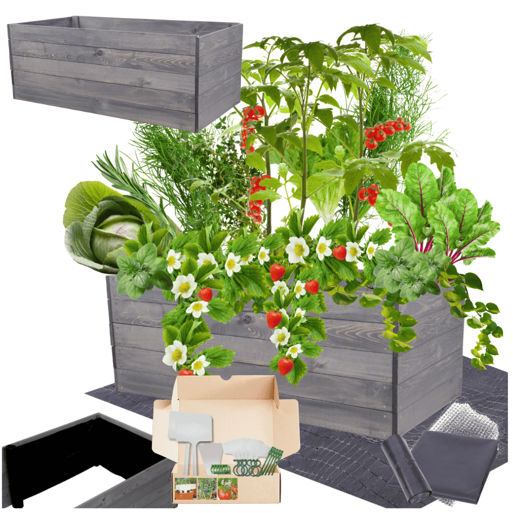 Strat inaltat de gradina - LOTUS H45 - lemn de pin - Rael Garden