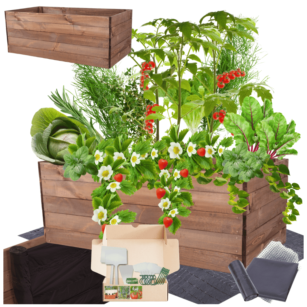 Strat inaltat de gradina - LOTUS H45 - lemn de pin - Rael Garden