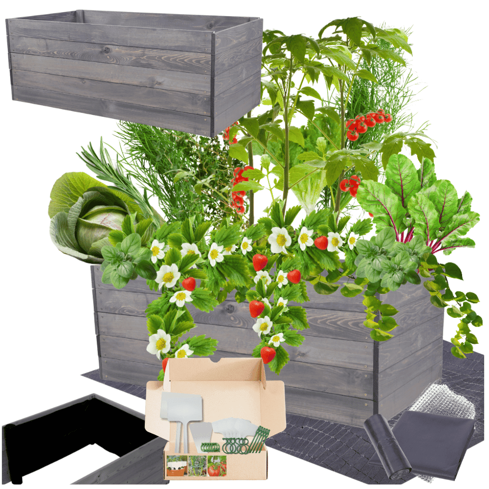 Strat inaltat de gradina - LOTUS H45 - lemn de pin - Rael Garden