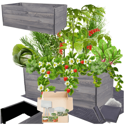 Strat inaltat de gradina - LOTUS H45 - lemn de pin - Rael Garden