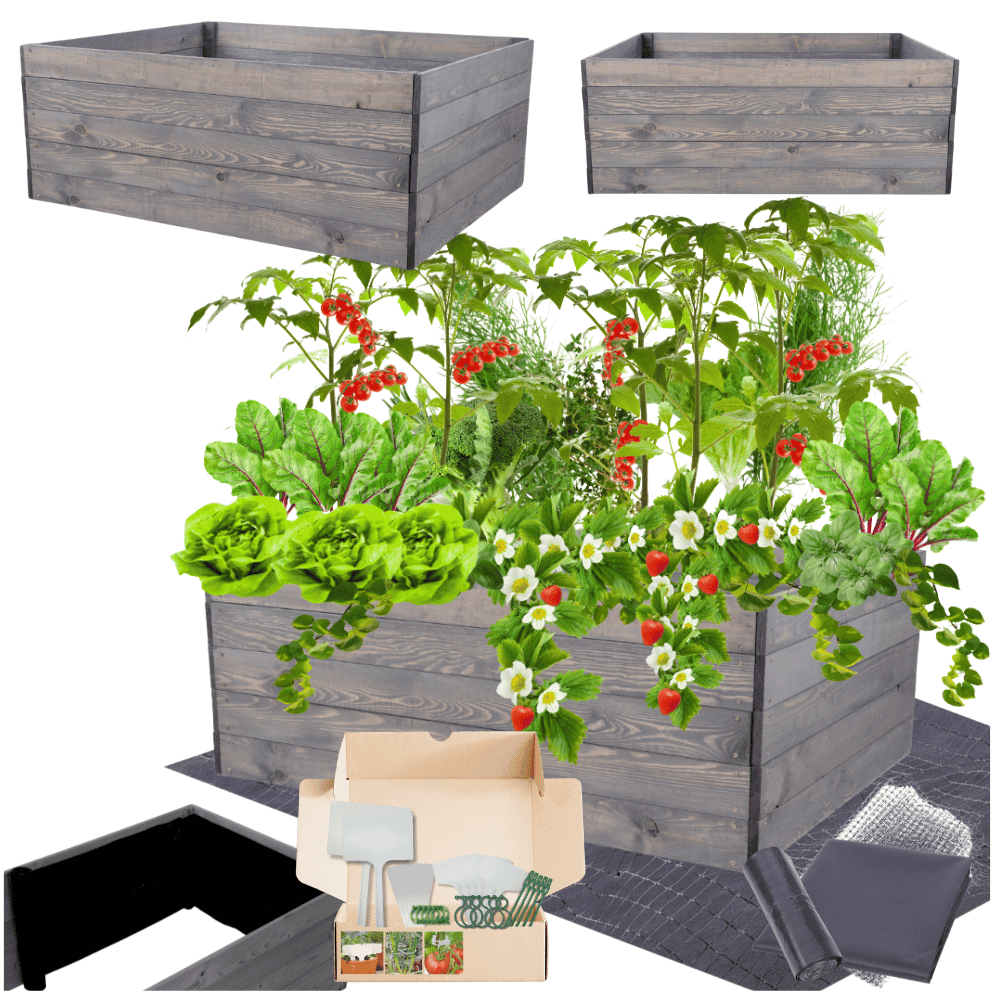 Strat inaltat de gradina - LOTUS H45 - lemn de pin - Rael Garden