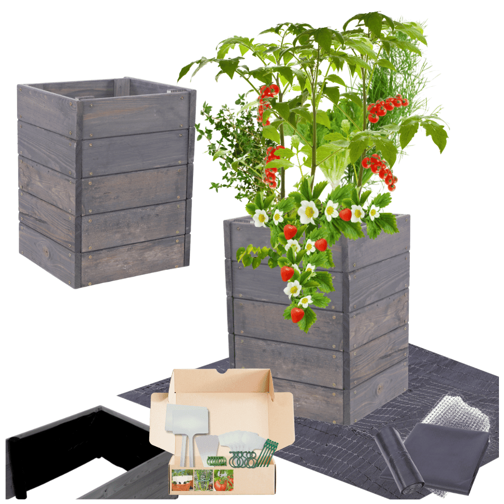 Strat inaltat de gradina - LOTUS H45 - lemn de pin - Rael Garden