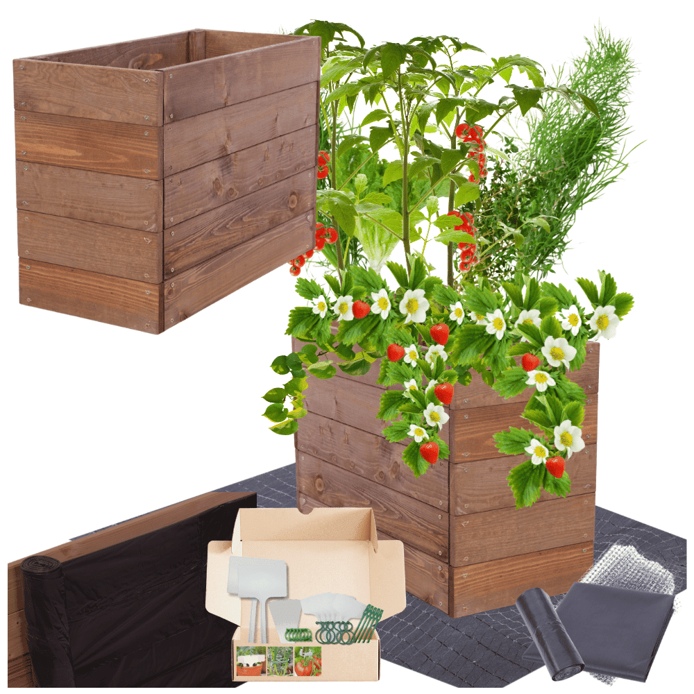 Strat inaltat de gradina - LOTUS H45 - lemn de pin - Rael Garden