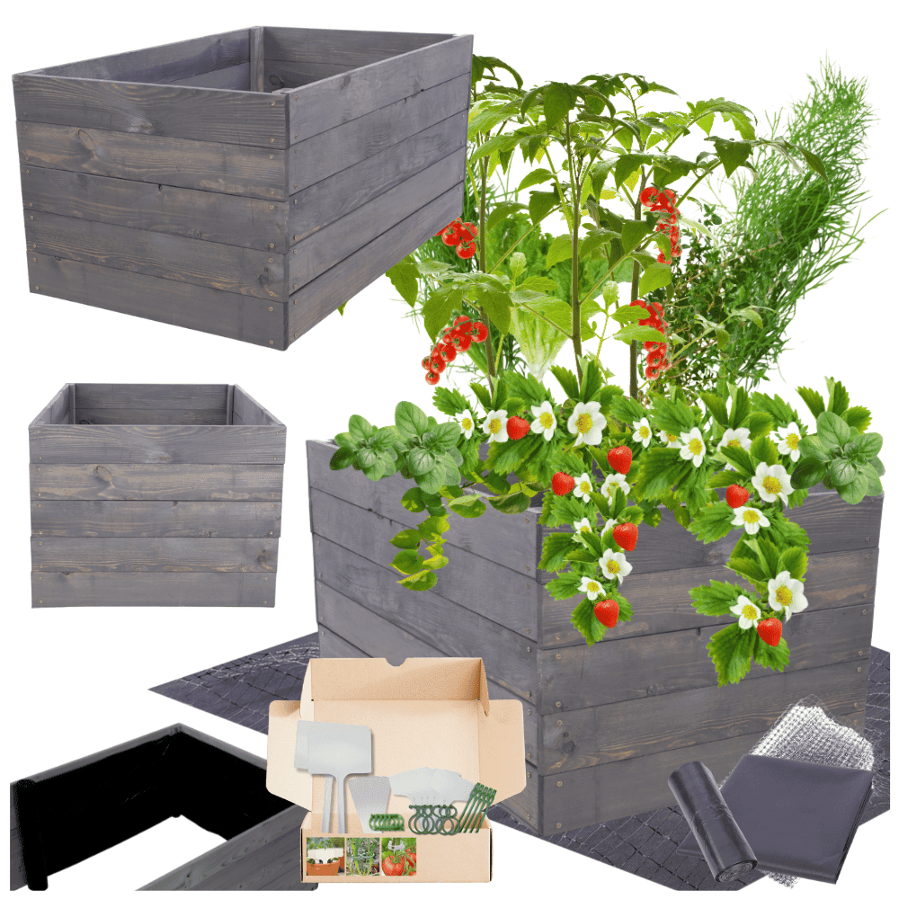 Strat inaltat de gradina - LOTUS H45 - lemn de pin - Rael Garden