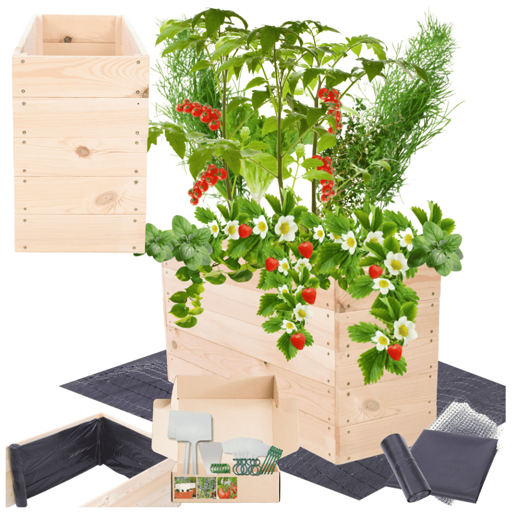 Strat inaltat de gradina - LOTUS H45 - lemn de pin - Rael Garden