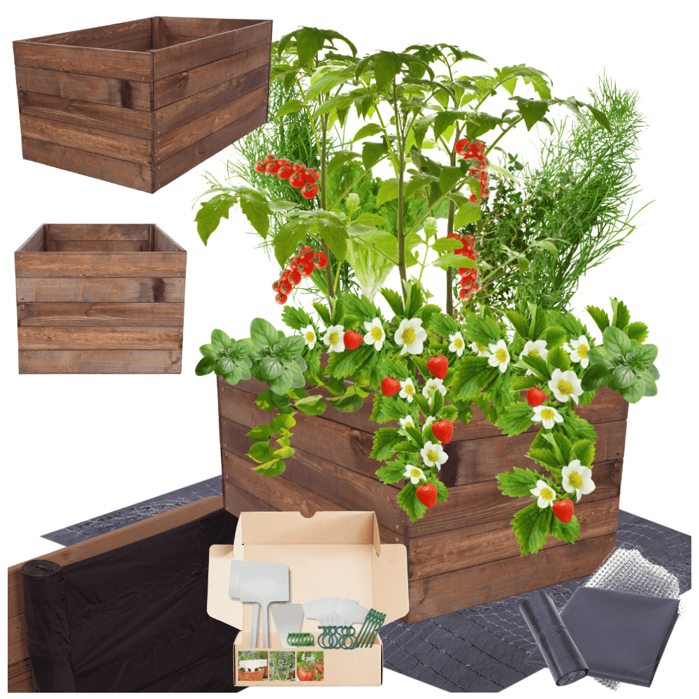 Strat inaltat de gradina - LOTUS H45 - lemn de pin - Rael Garden