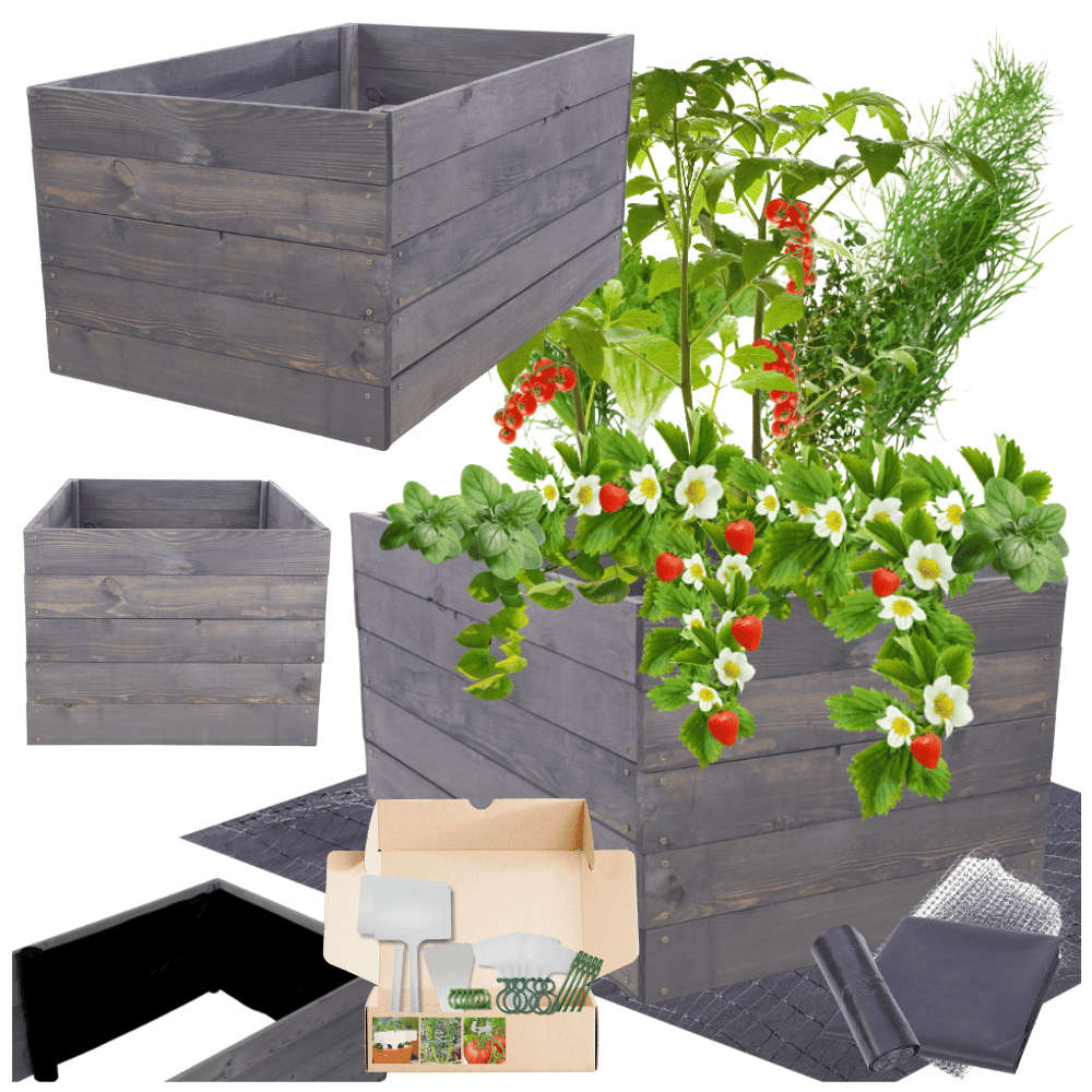 Strat inaltat de gradina - LOTUS H45 - lemn de pin - Rael Garden