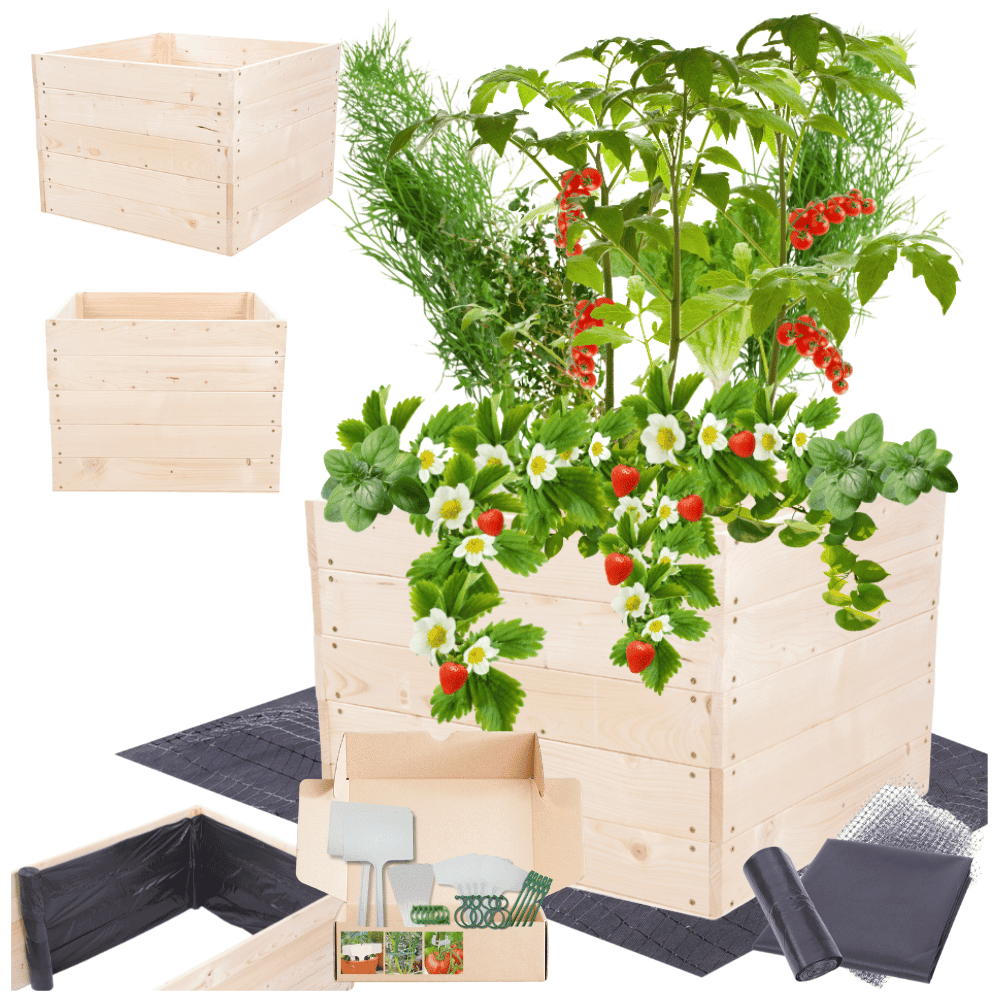 Strat inaltat de gradina - LOTUS H45 - lemn de pin - Rael Garden