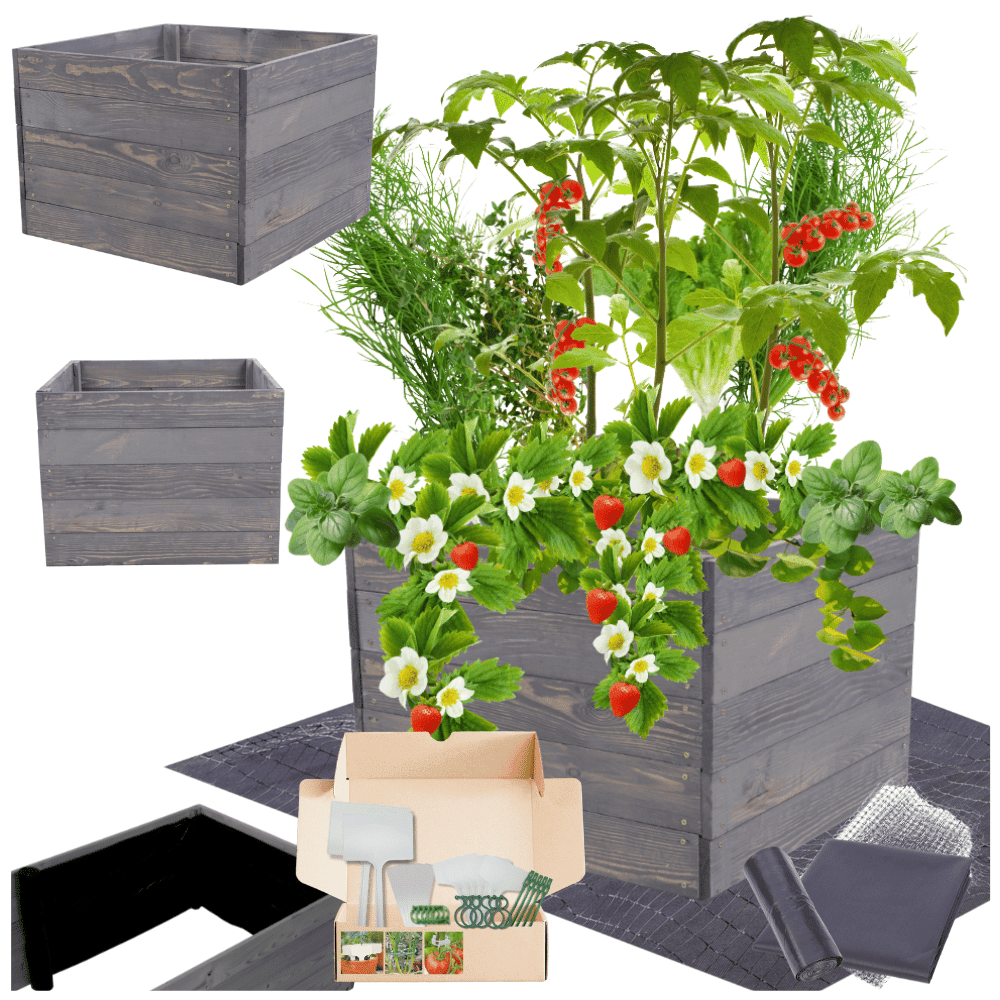 Strat inaltat de gradina - LOTUS H45 - lemn de pin - Rael Garden