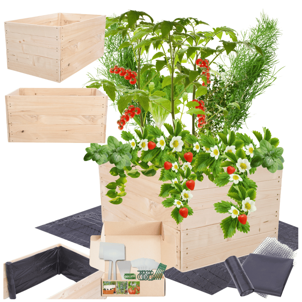 Strat inaltat de gradina - LOTUS H45 - lemn de pin - Rael Garden