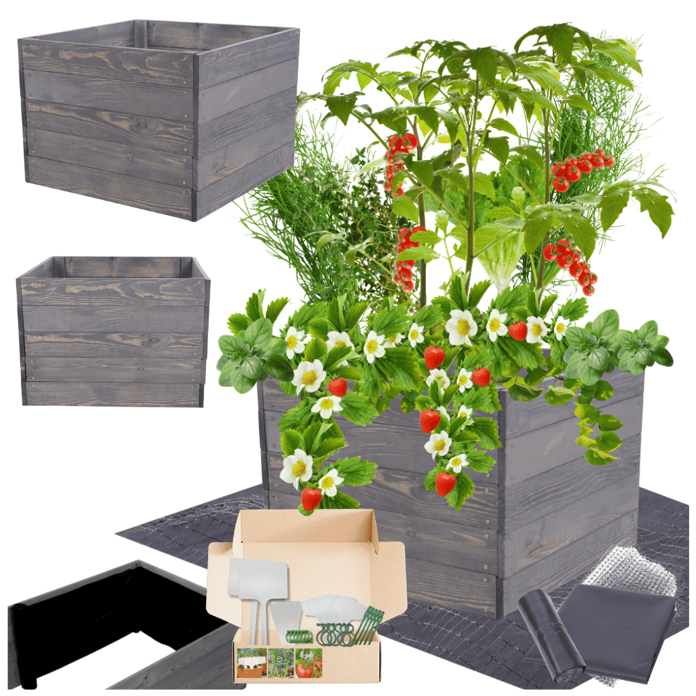 Strat inaltat de gradina - LOTUS H45 - lemn de pin - Rael Garden