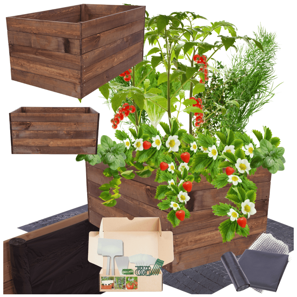 Strat inaltat de gradina - LOTUS H45 - lemn de pin - Rael Garden