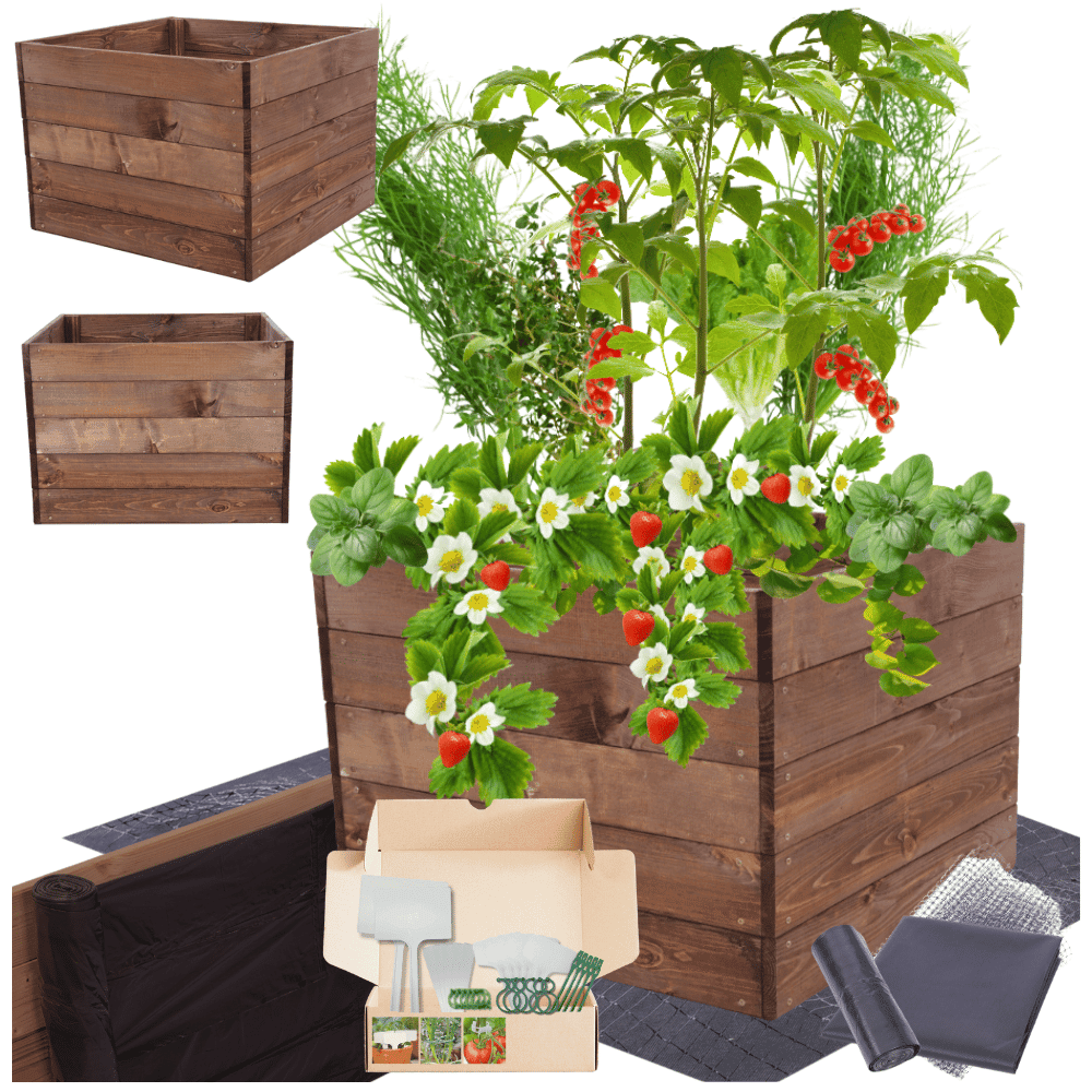 Strat inaltat de gradina - LOTUS H45 - lemn de pin - Rael Garden