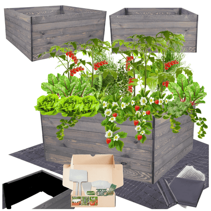 Strat inaltat de gradina - LOTUS H54 - lemn de pin - Rael Garden