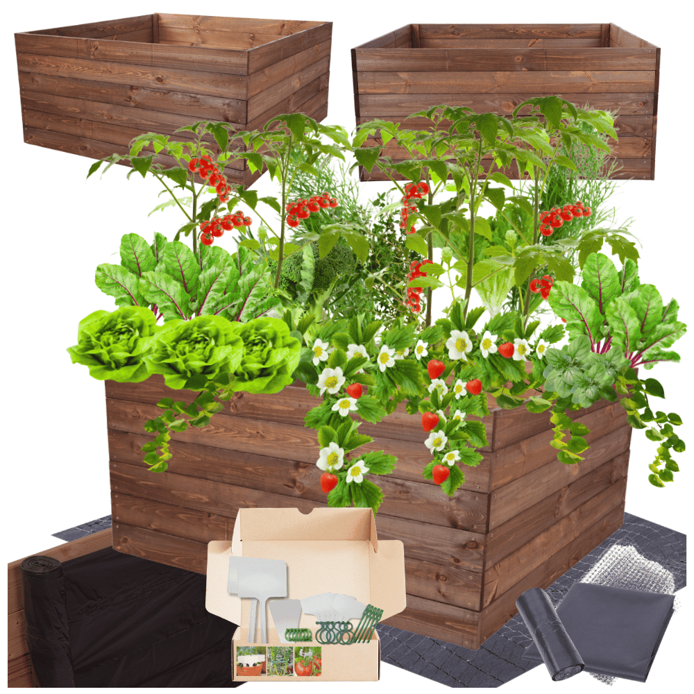 Strat inaltat de gradina - LOTUS H54 - lemn de pin - Rael Garden