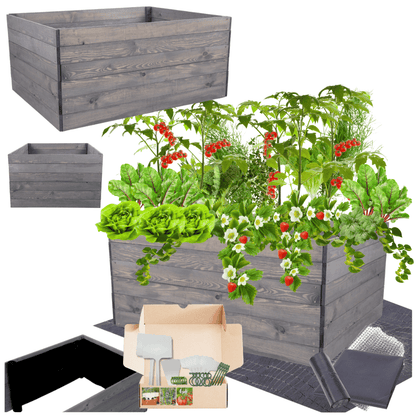 Strat inaltat de gradina - LOTUS H54 - lemn de pin - Rael Garden