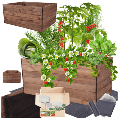 Strat inaltat de gradina - LOTUS H54 - lemn de pin - Rael Garden