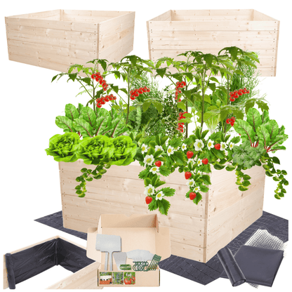 Strat inaltat de gradina - LOTUS H54 - lemn de pin - Rael Garden