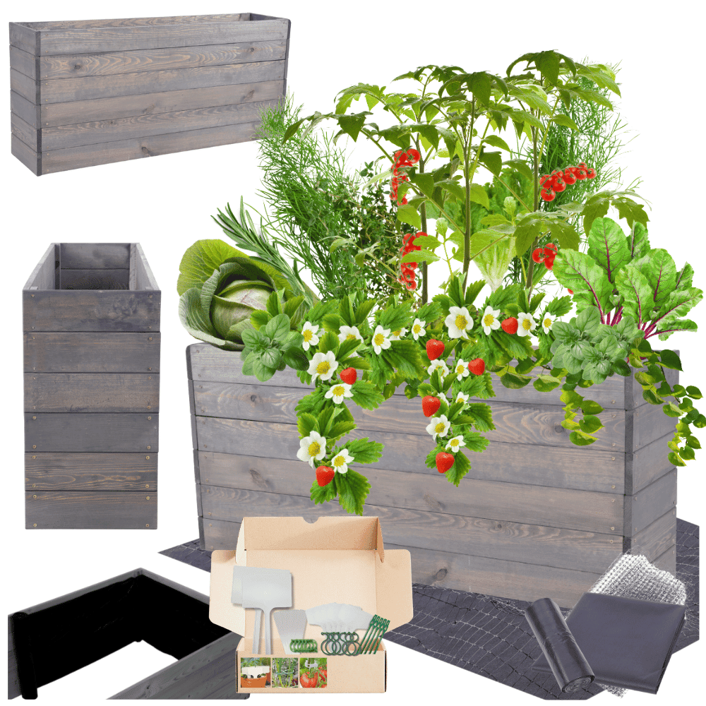 Strat inaltat de gradina - LOTUS H54 - lemn de pin - Rael Garden