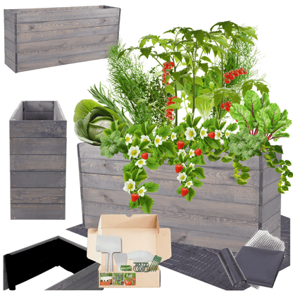 Strat inaltat de gradina - LOTUS H54 - lemn de pin - Rael Garden