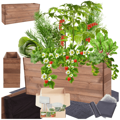 Strat inaltat de gradina - LOTUS H54 - lemn de pin - Rael Garden