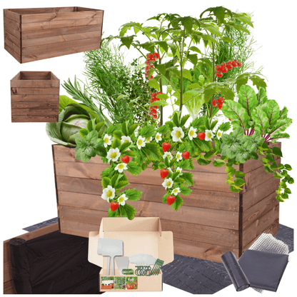 Strat inaltat de gradina - LOTUS H54 - lemn de pin - Rael Garden