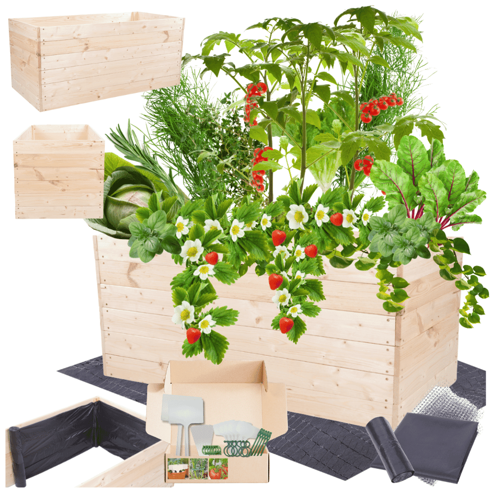 Strat inaltat de gradina - LOTUS H54 - lemn de pin - Rael Garden