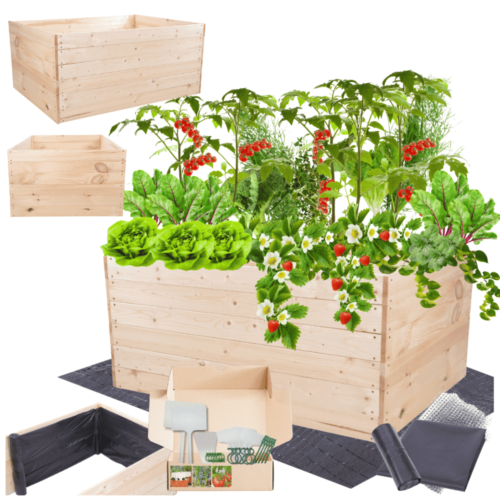 Strat inaltat de gradina - LOTUS H54 - lemn de pin - Rael Garden