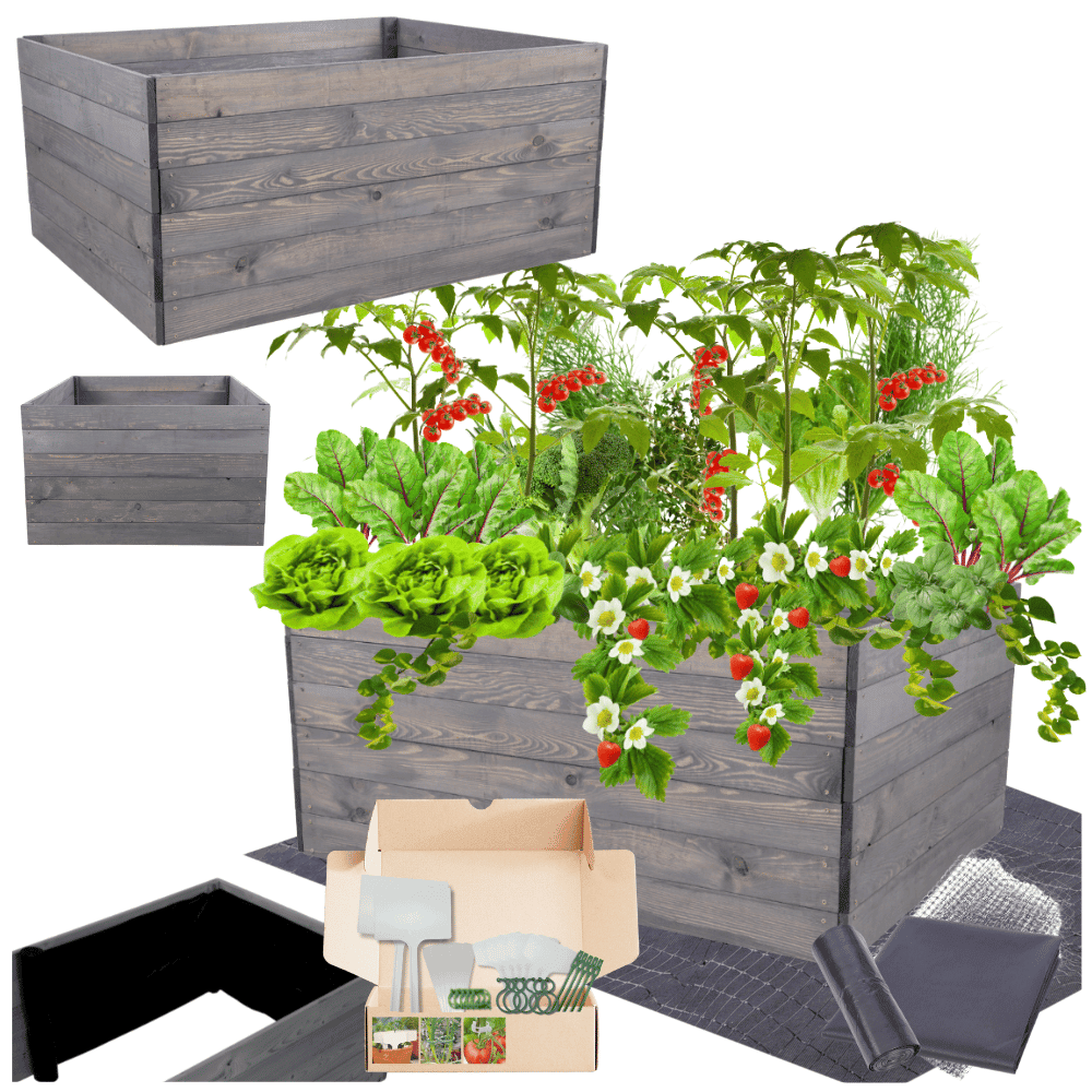 Strat inaltat de gradina - LOTUS H54 - lemn de pin - Rael Garden