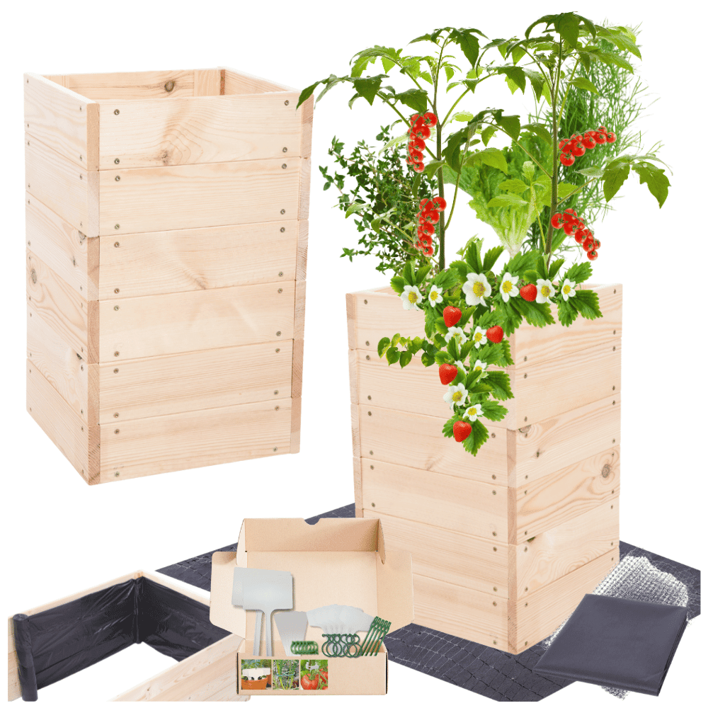 Strat inaltat de gradina - LOTUS H54 - lemn de pin - Rael Garden