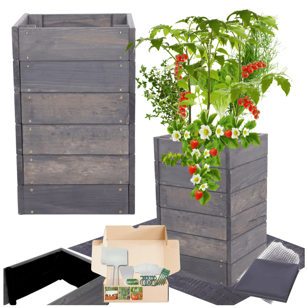 Strat inaltat de gradina - LOTUS H54 - lemn de pin - Rael Garden