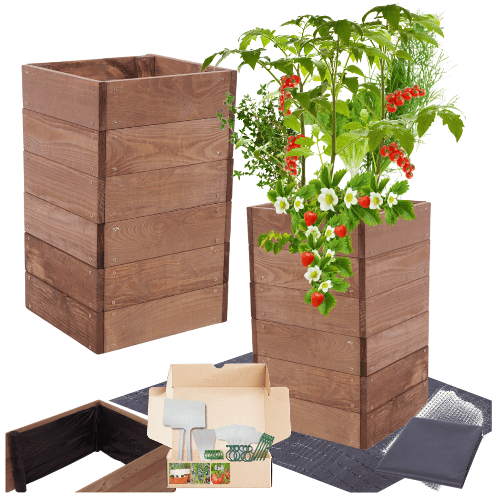 Strat inaltat de gradina - LOTUS H54 - lemn de pin - Rael Garden