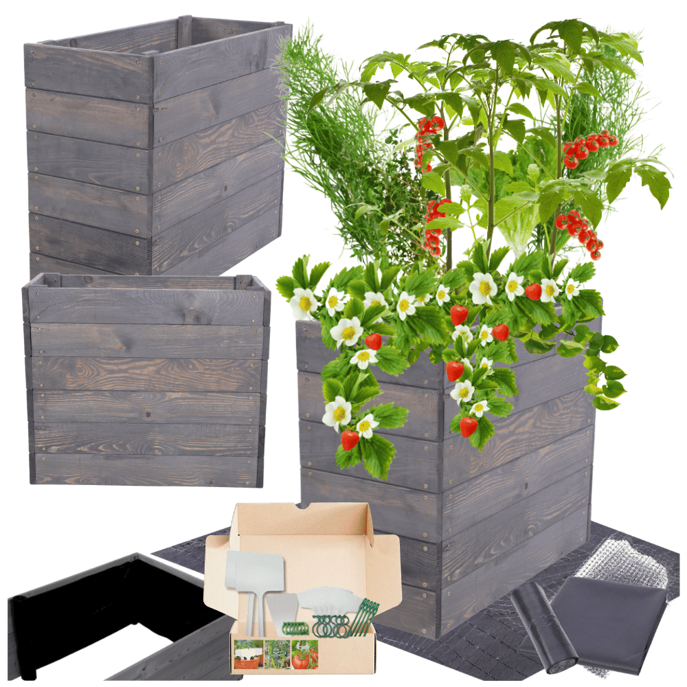 Strat inaltat de gradina - LOTUS H54 - lemn de pin - Rael Garden