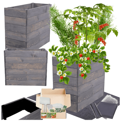 Strat inaltat de gradina - LOTUS H54 - lemn de pin - Rael Garden