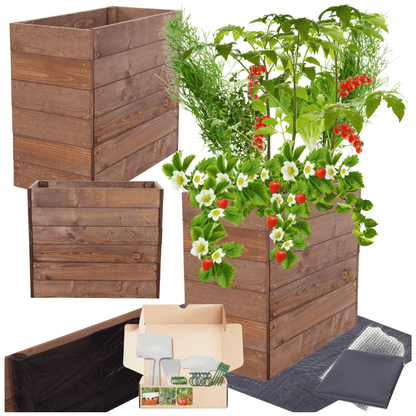 Strat inaltat de gradina - LOTUS H54 - lemn de pin - Rael Garden