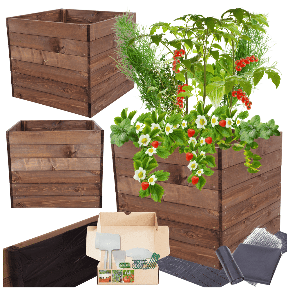 Strat inaltat de gradina - LOTUS H54 - lemn de pin - Rael Garden